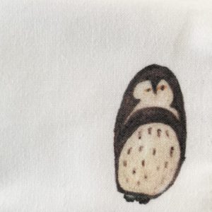 フンボルトペンギン | 