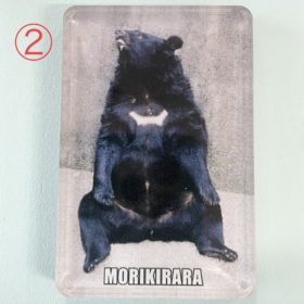 マグネット　 ツキノワグマ | 