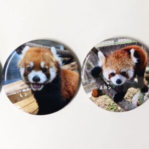 第1弾!!レッサーパンダ　笹植えプロジェクト ランダム缶バッジ | 