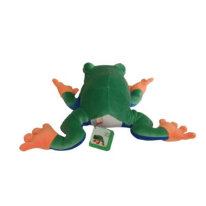 アカメアマガエル　Ｍ | 