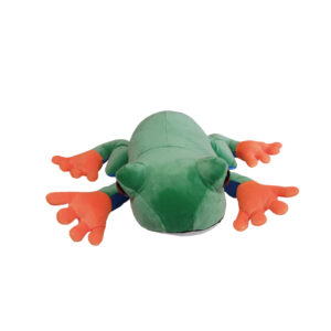 アカメアマガエル　Ｍ | 
