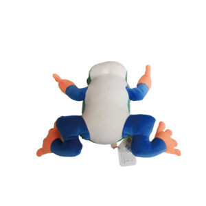 アカメアマガエル　Ｍ | 