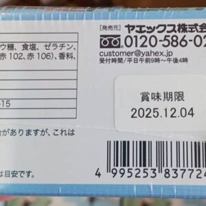 ジオラマアイシングビスケット | 