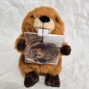 ふわふわビーバー | 