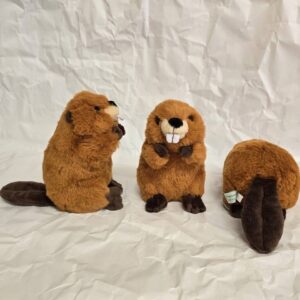 ふわふわビーバー | 