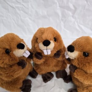 ふわふわビーバー | 