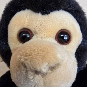 ぶらりんチンパンジーS | 